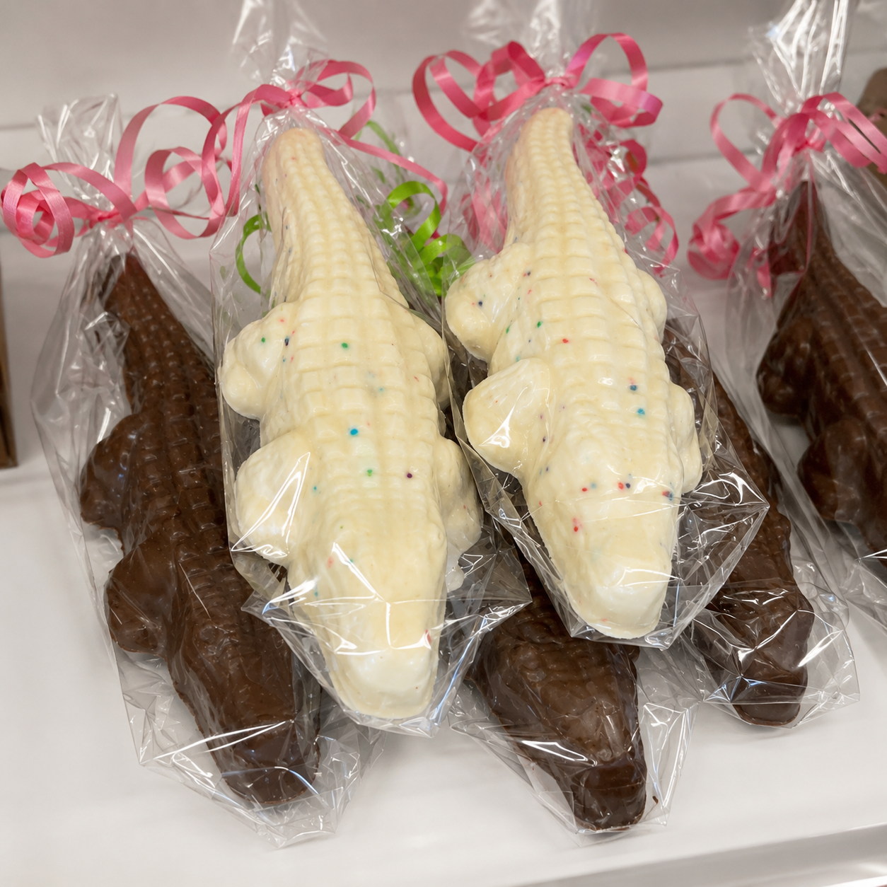 Chocolate Gator